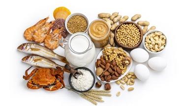 一系列常见的食物过敏原，包括牛奶、鸡蛋、坚果、贝类和大豆