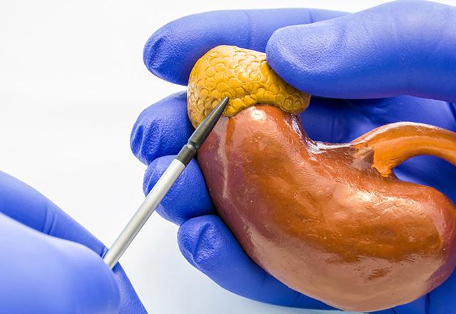 johns hopkins surgery - closeup of doctor wearing gloves holding kidney model pointing to adrenal gland